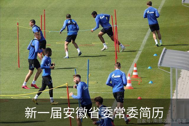 新一届安徽省委常委简历